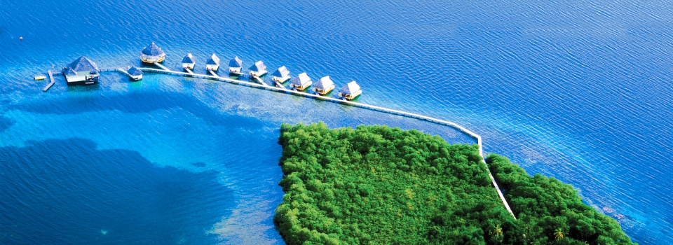 punta caracol web