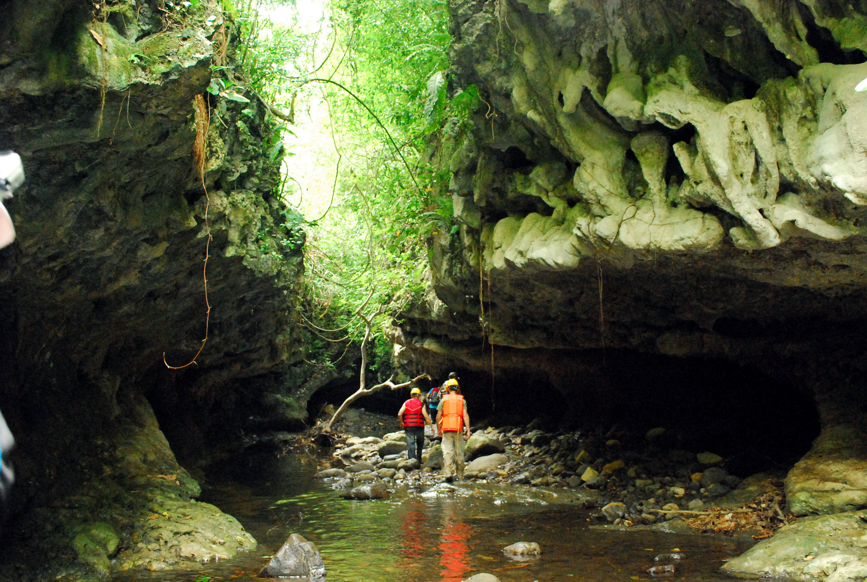 bayano caves tour