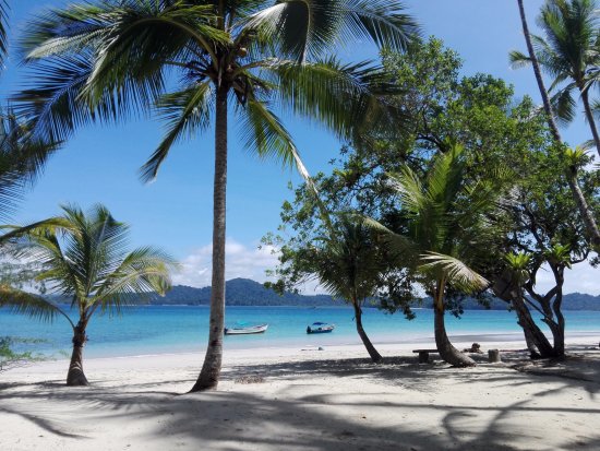 COIBA TOURS (Isla Rancheria): fotografía de Deseo Bamboo Panama ...