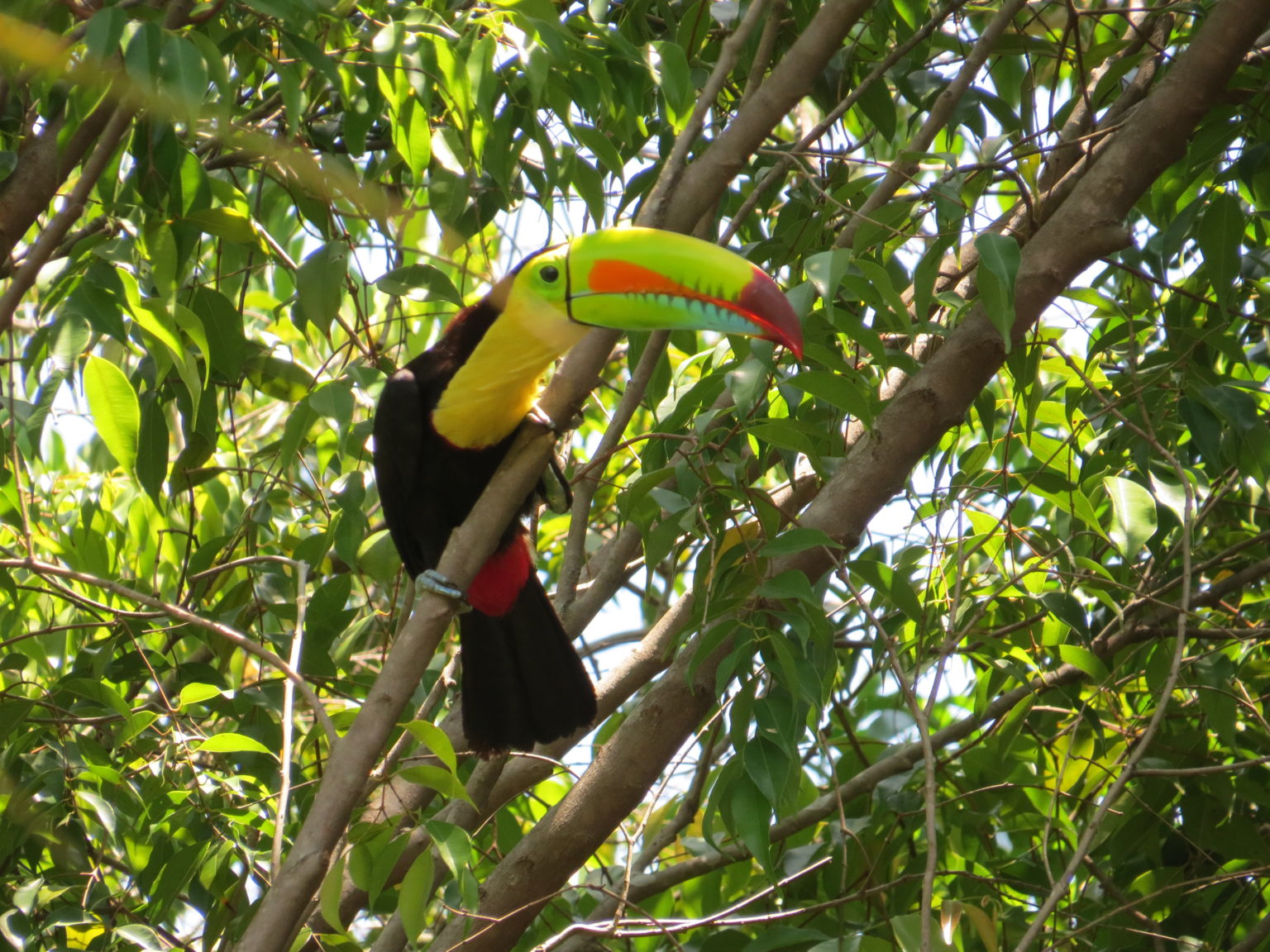 Provincia de Darién Nativa Tours