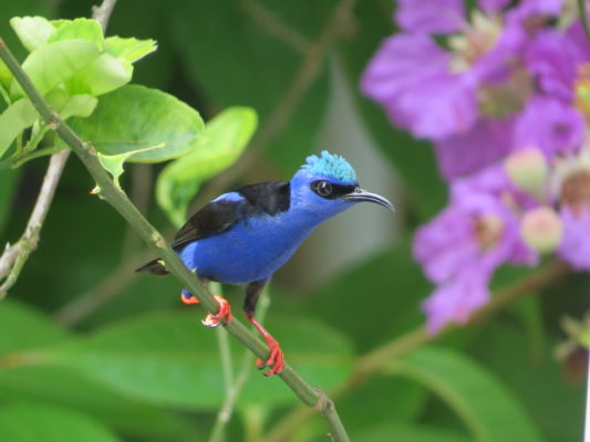 darien tour panama