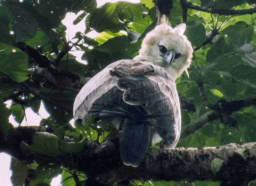 darien tour panama